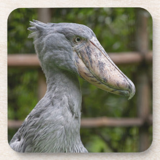 Shoebill (Balaenicepsレックス) コースター
