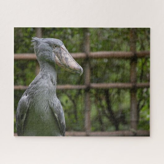 Shoebill (Balaenicepsレックス) ジグソーパズル (横)