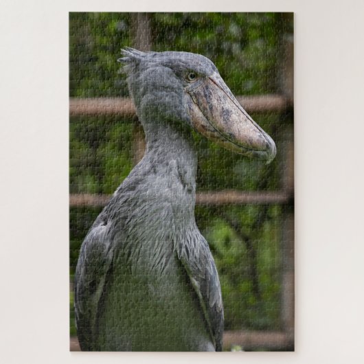Shoebill (Balaenicepsレックス) ジグソーパズル (縦)