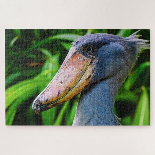 Shoebill (Balaenicepsレックス) ジグソーパズル (横)