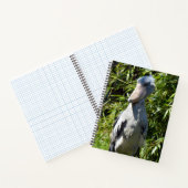 Shoebill (Balaenicepsレックス) ノートブック (内部)
