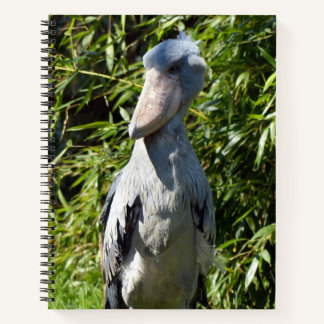 Shoebill (Balaenicepsレックス) ノートブック