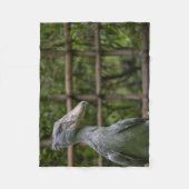 Shoebill (Balaenicepsレックス) フリースブランケット (正面)