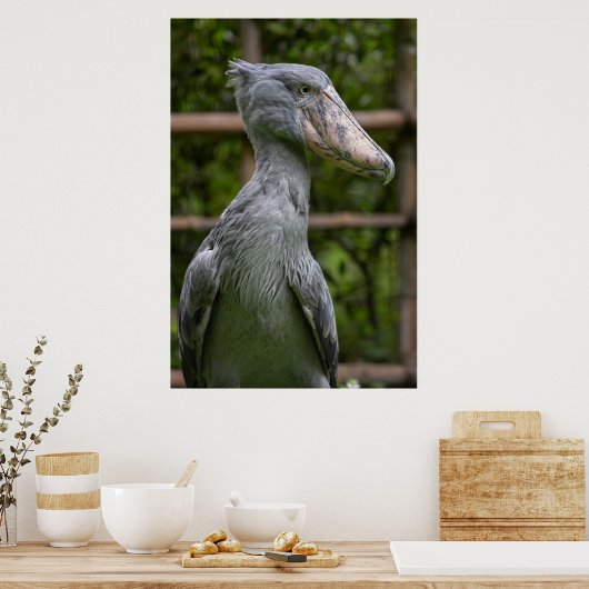 Shoebill (Balaenicepsレックス) ポスター (キッチン)