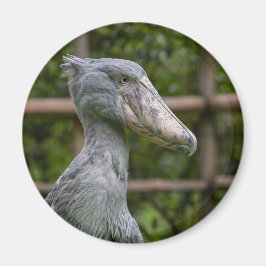 Shoebill (Balaenicepsレックス) マグネット
