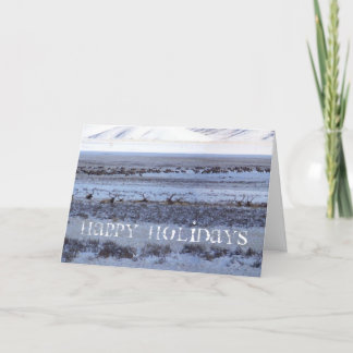 Shootin シーズンカード