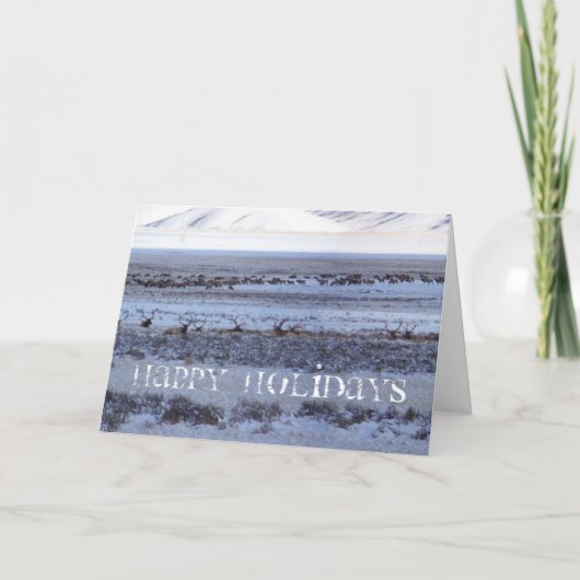 Shootin シーズンカード (正面)