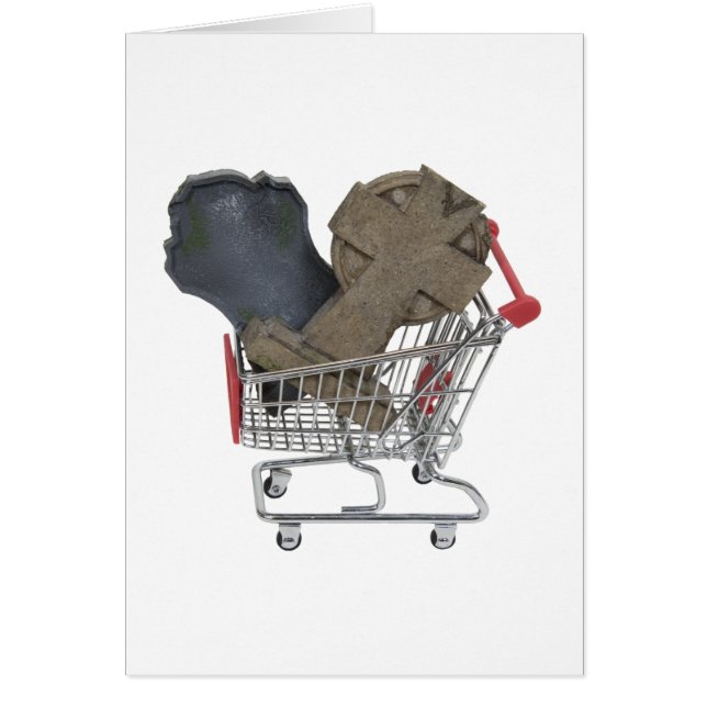 ShoppingAfterLife090409 (正面)