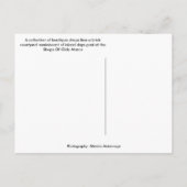 Shops Of Olde Marco – マルコアイランドフロリダ ポストカード (裏面)