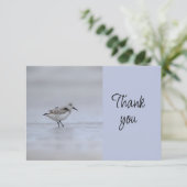 Shore Bird Event Volunteer Thank You サンキューカード (スタンド正面)