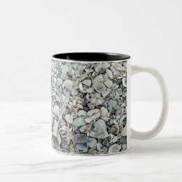 Shoreline Shells Two-tone look ツートーンマグカップ