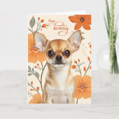 Short Haired Chihuaua Dog Bold Retro Birthday カード (正面)