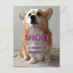 Short is a Factory Cute of Perspectiveかわいいコルギカード ポストカード