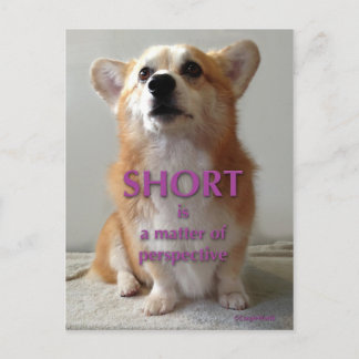 Short is a Factory Cute of Perspectiveかわいいコルギカード ポストカード