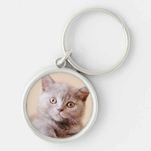 Shorthairかわいいイギリスの猫 キーホルダー (正面)