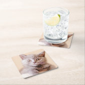 Shorthairかわいいイギリスの猫 スクエアペーパーコースター (インサイチュ)