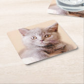 Shorthairかわいいイギリスの猫 スクエアペーパーコースター (アングル)