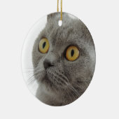 Shorthairかわいいイギリスの猫 セラミックオーナメント (右)