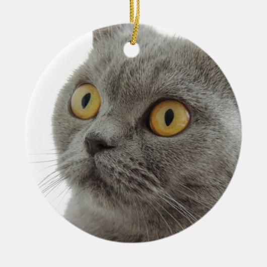 Shorthairかわいいイギリスの猫 セラミックオーナメント (正面)