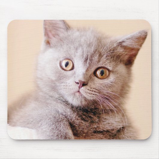 Shorthairかわいいイギリスの猫 マウスパッド (正面)