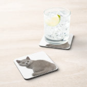 Shorthairのイギリスの子ネコ(10週古い) コースター (右側)