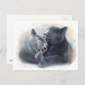 Shorthairイギリスの猫 ポストカード (正面/裏面)