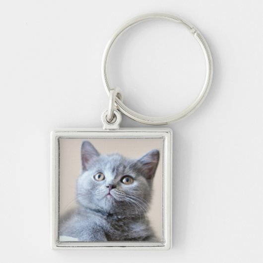 Shorthair灰色のイギリスの猫 キーホルダー (正面)
