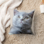 Shorthair灰色のイギリスの猫 クッション (ブランケット)