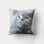Shorthair灰色のイギリスの猫 クッション (裏面)