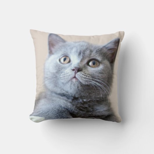 Shorthair灰色のイギリスの猫 クッション (正面)
