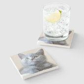 Shorthair灰色のイギリスの猫 ストーンコースター (横)