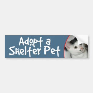 Shorthair白黒猫のバンパーステッカーかデカール バンパーステッカー