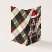 Shorthair Pointer GSP Dog Holiday Plaid Christmas (外部)