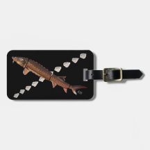 Shortnoseのチョウザメ及びScutesの荷物のラベル