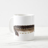 Shortnoseのチョウザメ- Acipenserのbrevirostrum コーヒーマグカップ (正面左)