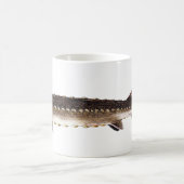 Shortnoseのチョウザメ- Acipenserのbrevirostrum コーヒーマグカップ (中央)