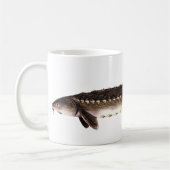 Shortnoseのチョウザメ- Acipenserのbrevirostrum コーヒーマグカップ (左)