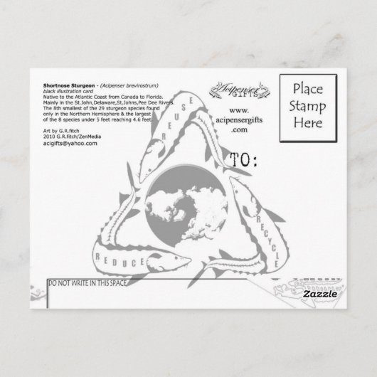 Shortnose Sturgeon – 黒 – はがき (裏面)