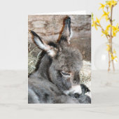 Shorty カード (黄色い花)