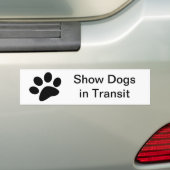 Show Dogs in Transit Bumperステッカー バンパーステッカー (車上)