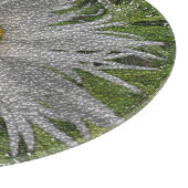 Show Me A Daisy #1 カッティングボード (角)