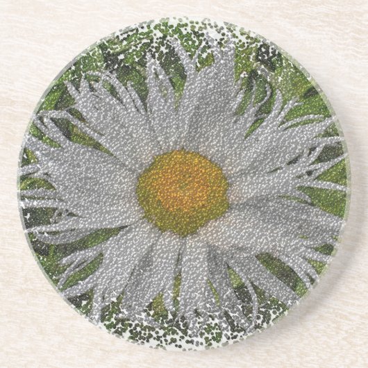 Show Me A Daisy #1 コースター (正面)