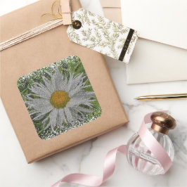 Show Me A Daisy #1 スクエアシール