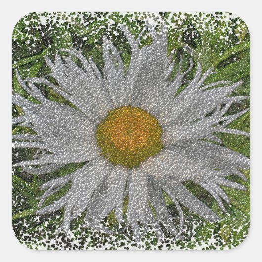 Show Me A Daisy #1 スクエアシール (正面)