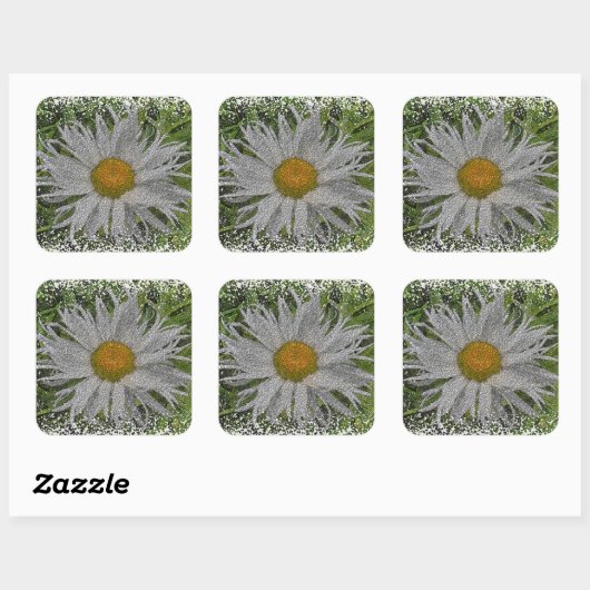 Show Me A Daisy #1 スクエアシール (シート)