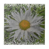 Show Me A Daisy #1 タイル (正面)