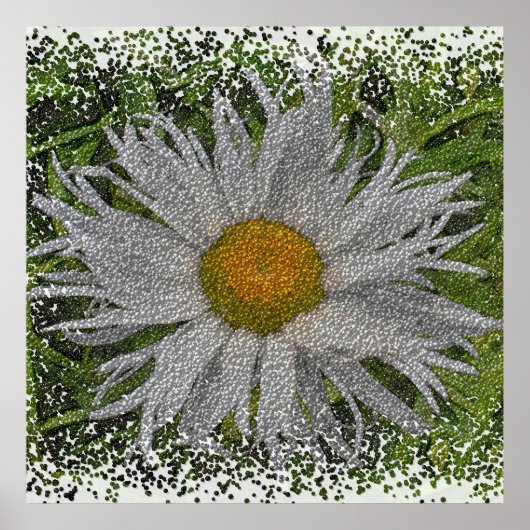 Show Me A Daisy #1 ポスター (正面)