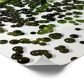 Show Me A Daisy #1 ポスター (角)