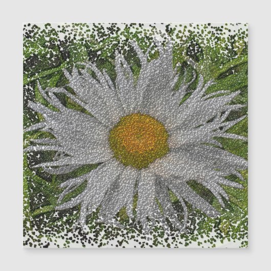 Show Me A Daisy #1 Magnetic Card (正面)