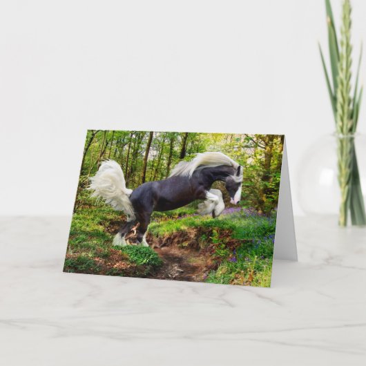 「Showing Off」挨拶 カード (正面)